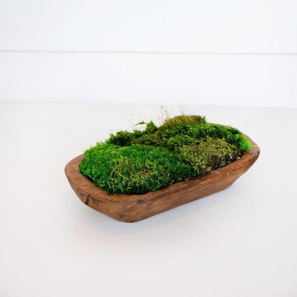 Rustic moss bowl