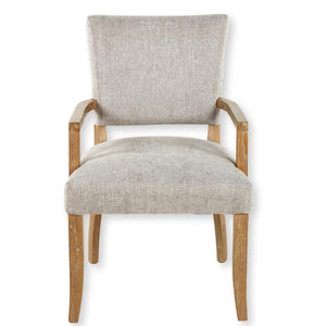 Ari Taupe Chenille Dining Chair