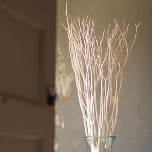 Bleached Willow Branches (Set of 3)