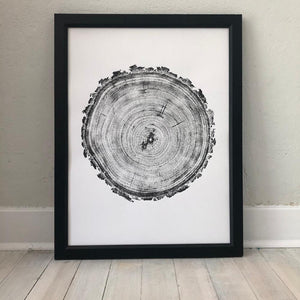 Colorado Douglas Fir Tree Ring Print