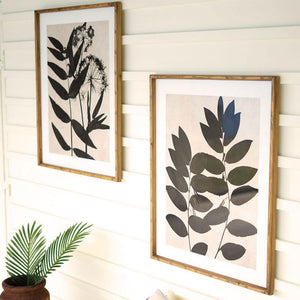 Framed Black Botanical Prints Under Glass