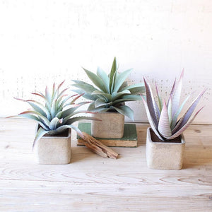 Large Artificial Succulents in Square Pots (Set of 3)