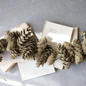 Frosted Sage Pinecone Garlands